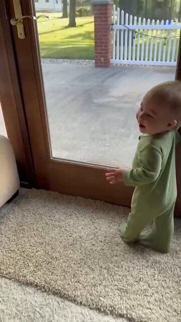 baby n dog cute moments