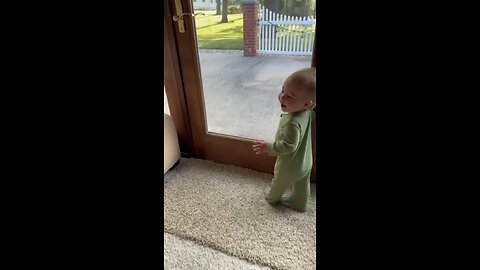 baby n dog cute moments