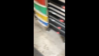 New Scottoiler broke down after one year
