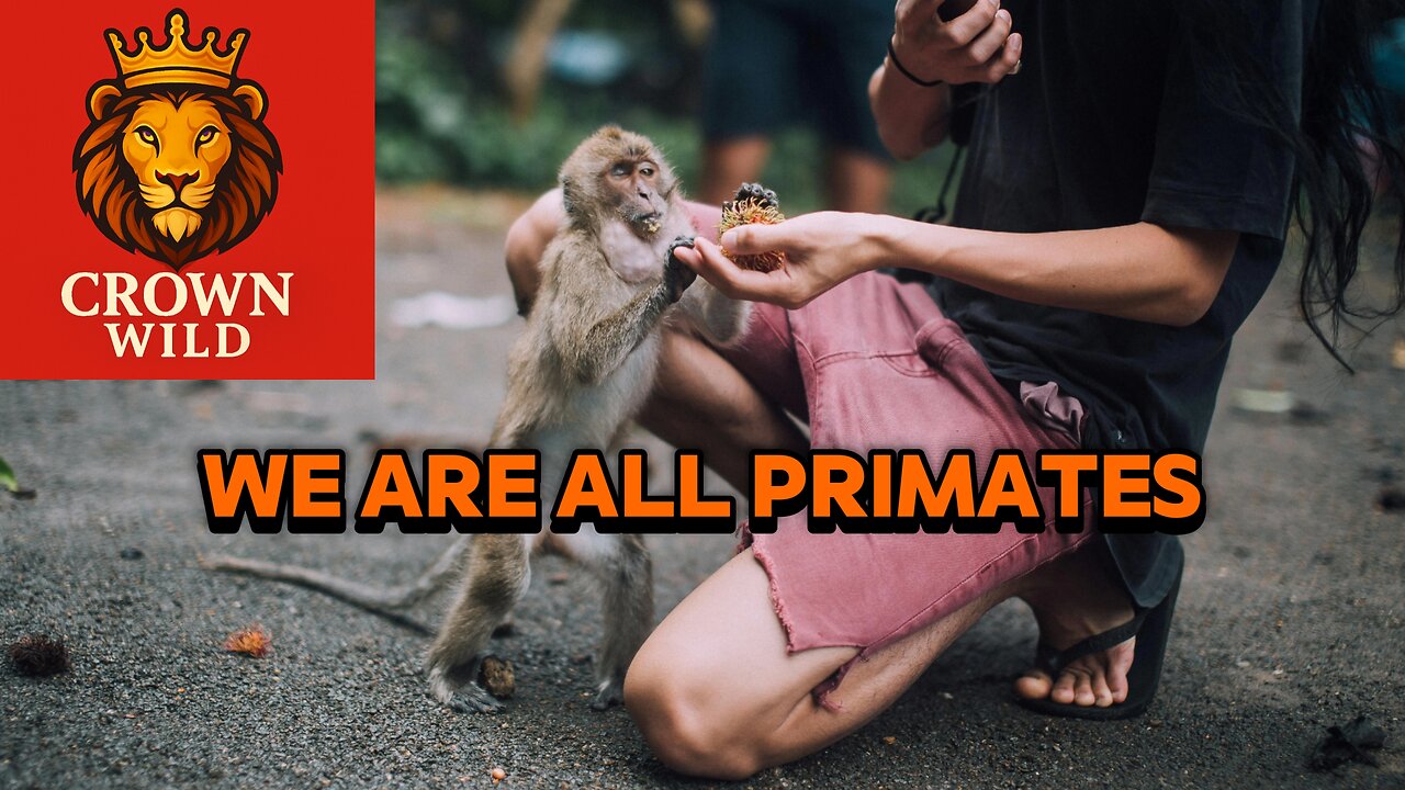 We Are All Primates