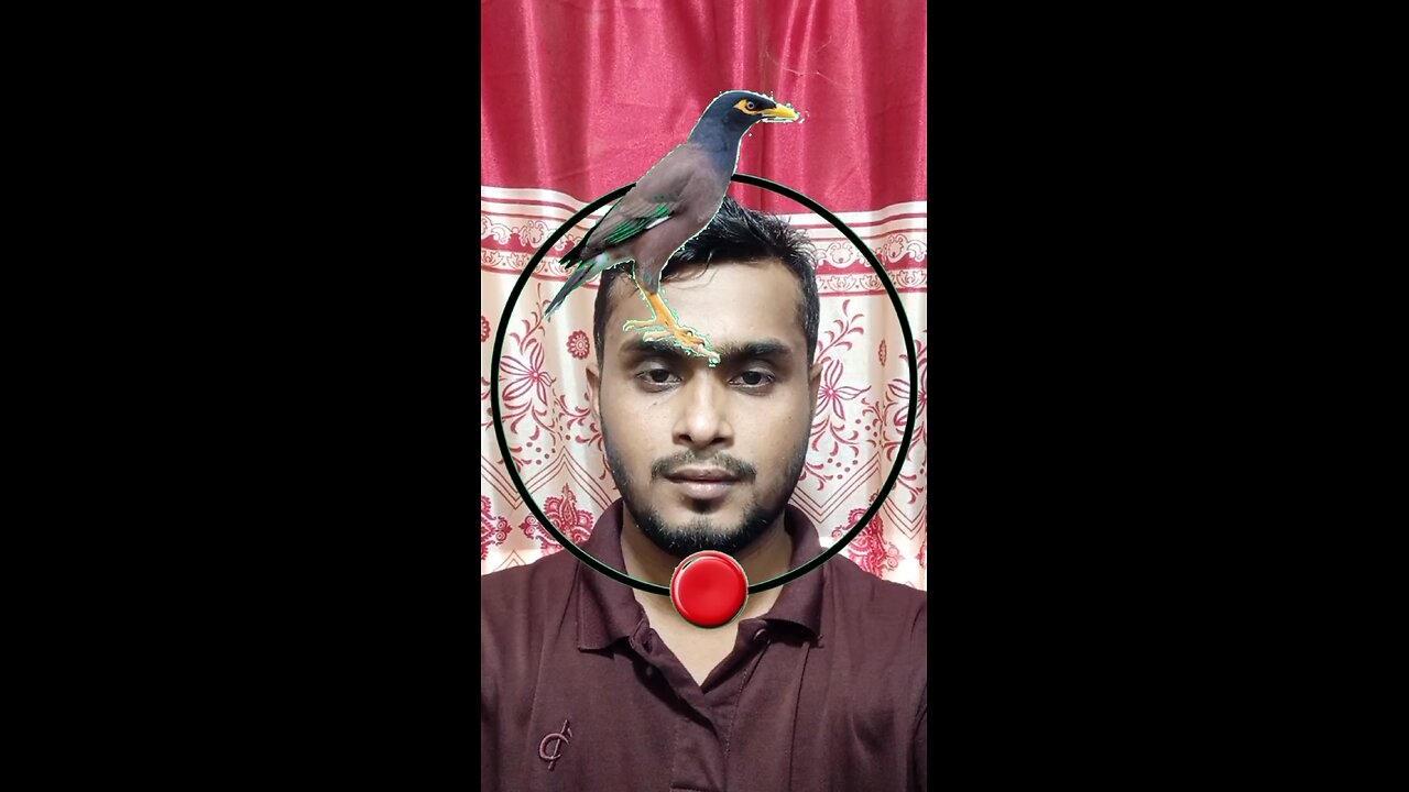 সালিকটি জোড়া লাগান ৪১ #reels #puzzle #challenge #tending #viral #Amazing #foryou