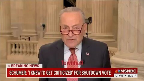 Chuck Schumer Has A Glorious Meltdown For MSNBC's Chris Hayes After Caving On Funding Bill Vote