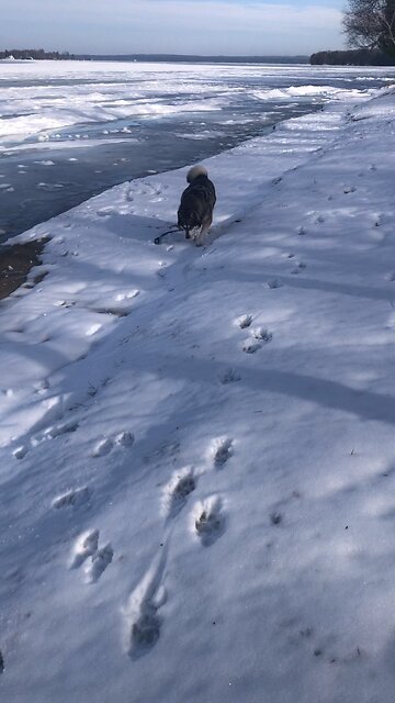 Thursday January 8, Then wonderful times of refreshment will come.