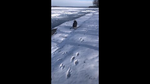 Thursday January 8, Then wonderful times of refreshment will come.