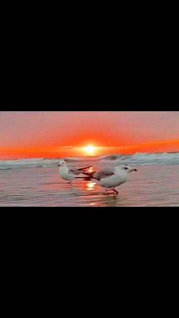 THE HOLY SPIRIT: GOD'S PRESENCE - DAILY DEVOTIONAL ❤️