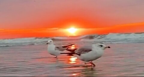 THE HOLY SPIRIT: GOD'S PRESENCE - DAILY DEVOTIONAL ❤️