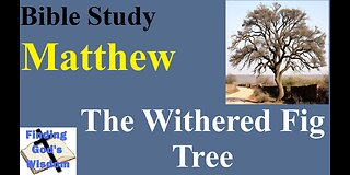 Matthew: The Fig Tree Withered