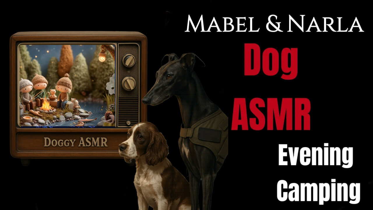 Dog TV: Thimblewick Hollow ASMR | Bramble Bunny Camping | Stream, Birdsong & Summer Evening Ambience