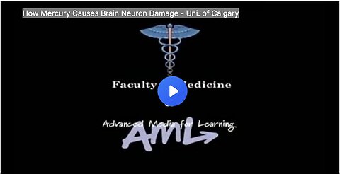 "Understanding Mercury-Induced Brain Neuron Damage: Insights from University of Calgary"