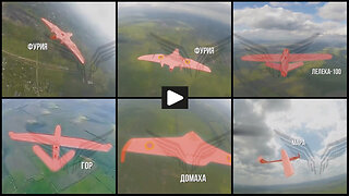 Russian FPV drones hunting various Ukrainian UAV-s