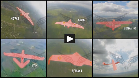 Russian FPV drones hunting various Ukrainian UAV-s