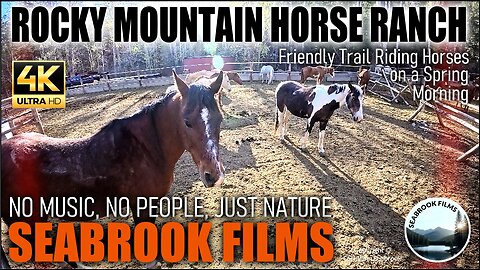 Rocky Mountain Horse Ranch