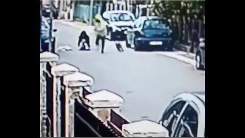 Dog ran to protect woman🫡