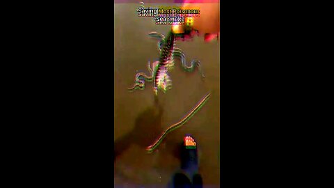 The little snake When big