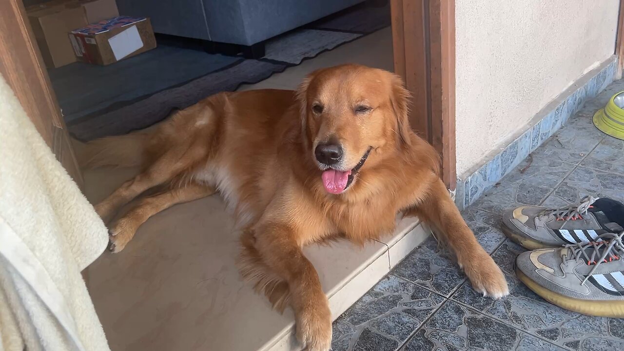 Mac Jones having a nice rest