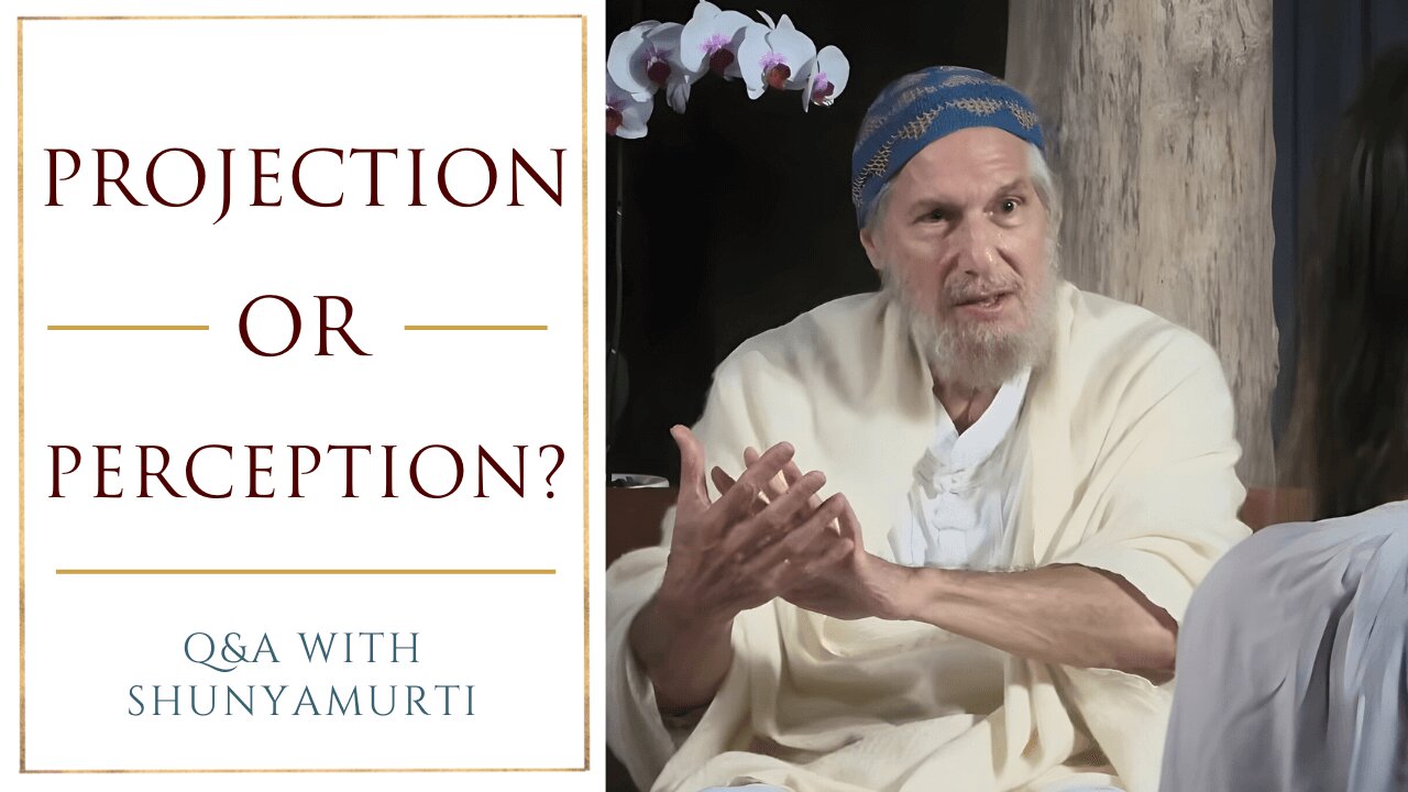 How to See Through the “Deceptocene” | Q&A With Shunyamurti