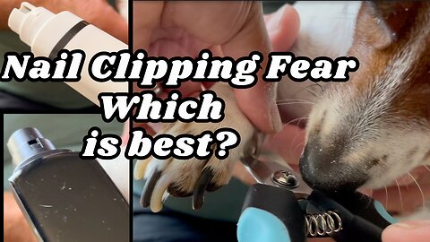 Which dog nail grinder is best to help heal nail clipping trauma