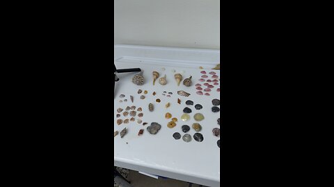 Beach Finds 7/29/2025 | 4K