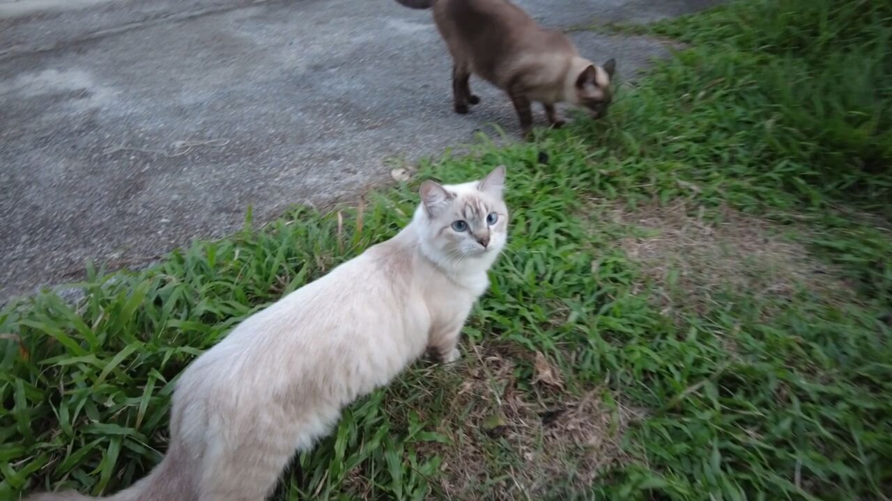 What brings me the most joy in this realm