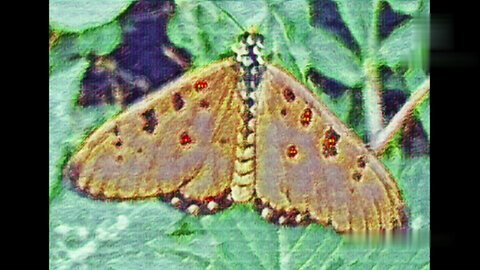 RANT ONE: WHAT TIME IS LOVE FOR AN AVERAGE WHITE HETEROSEXUAL CHRISTIAN MAN?