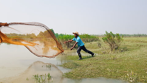 Daily fishing work in Bangladesh
