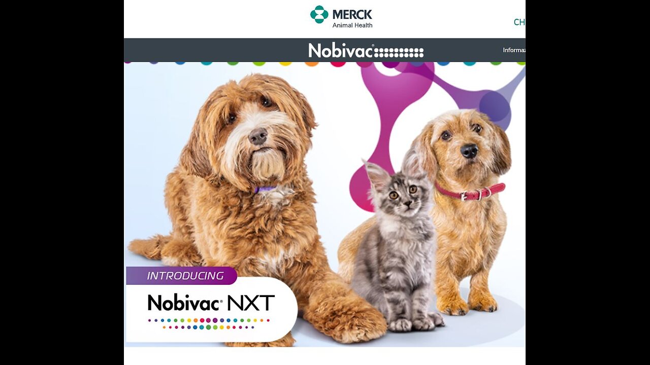 MRNA PER SABOTARE GENETICAMENTE L'UMANITA anche con CANI E GATTI (2)