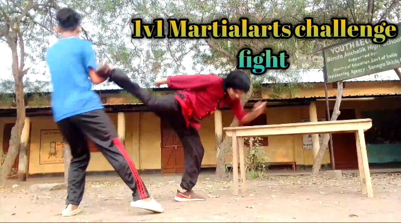 Martialarts challenge fight 1v1.