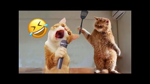 Hilarious Animal Antics: Funniest Pets & Wild Moments!