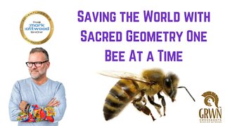 Saving the World with Sacred Geometry One Bee At a Time
