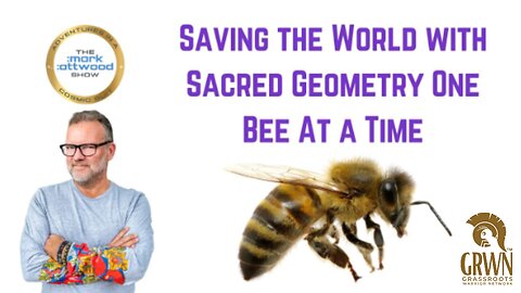 Saving the World with Sacred Geometry One Bee At a Time