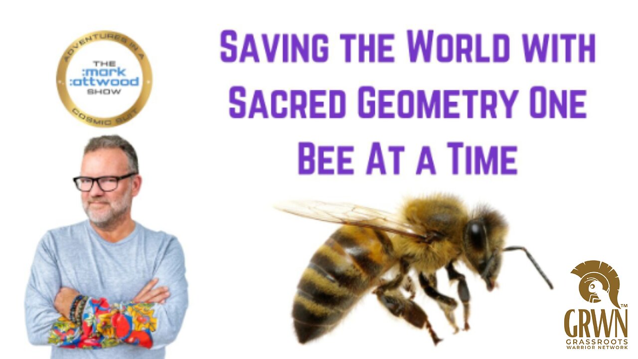 Saving the World with Sacred Geometry One Bee At a Time
