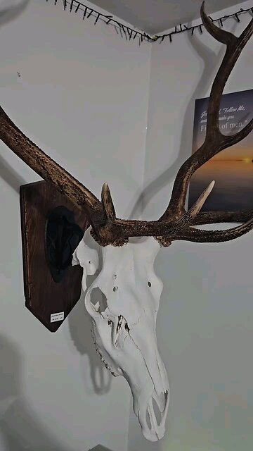 Elk Euro Mount