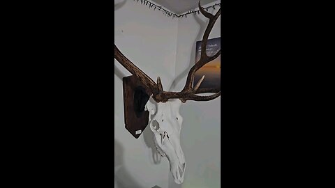 Elk Euro Mount