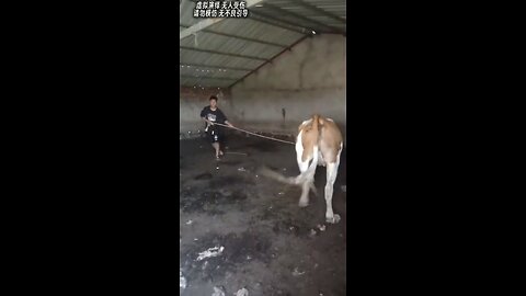 😂😂😂