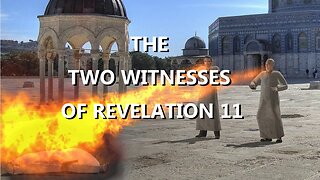 THE TWO WITNESSES OF REVELATION 11