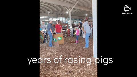 swine jackpot