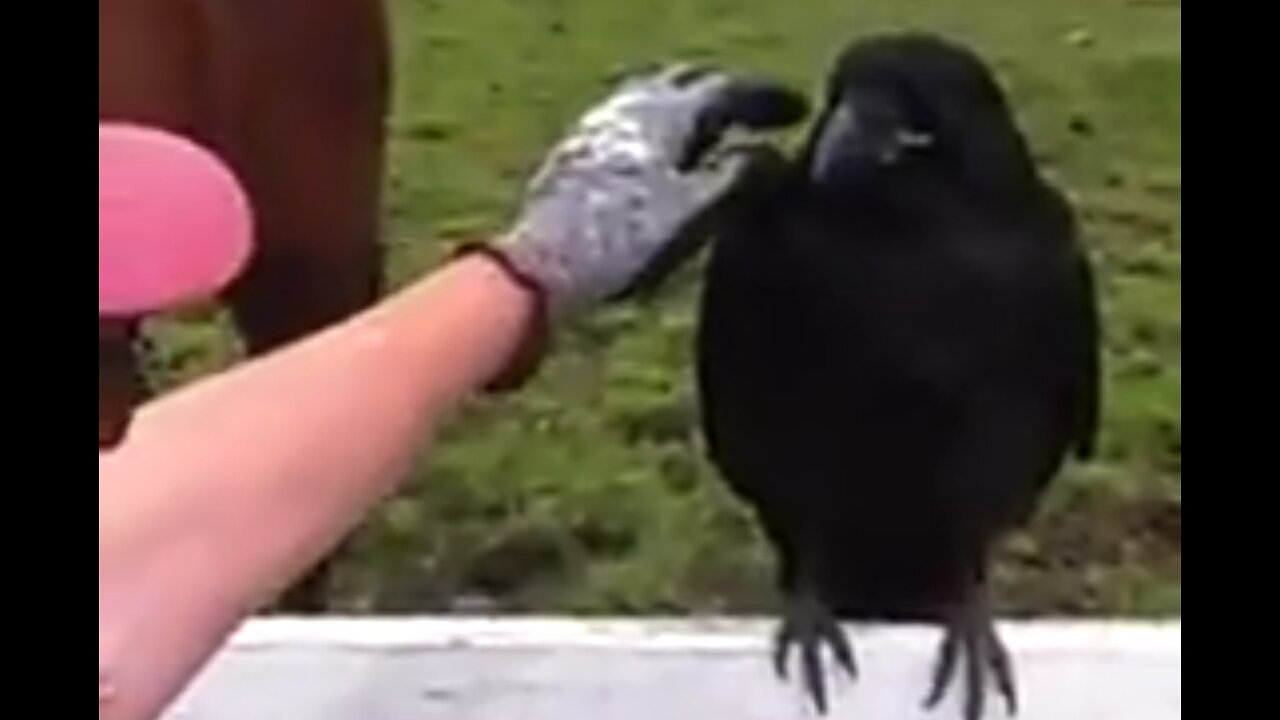 BY OUR SIDE - DAILY DEVOTIONAL ❤️