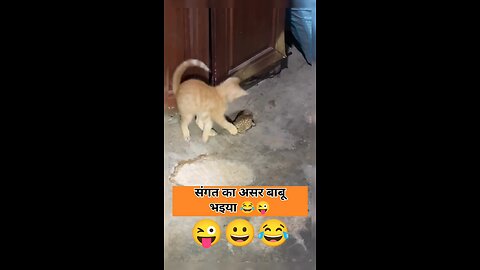 संगत का असर