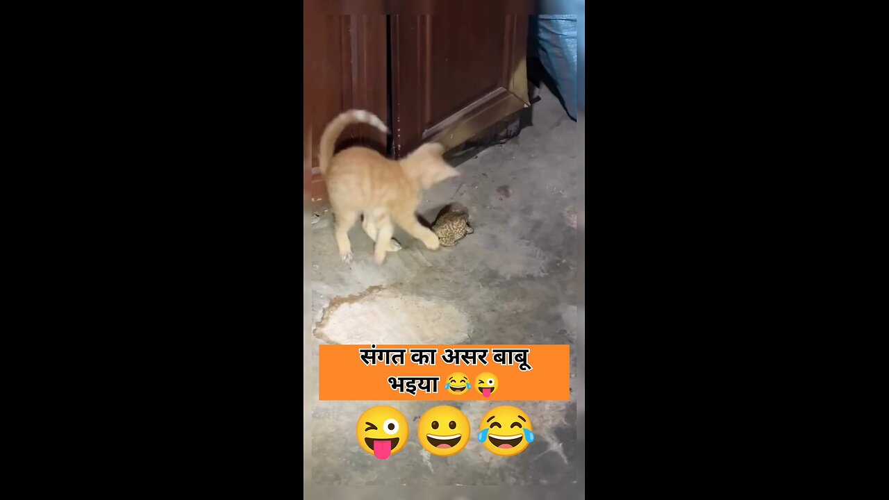 संगत का असर