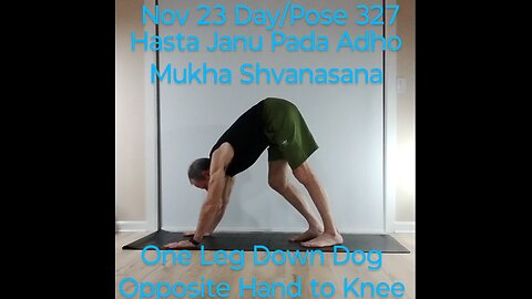 One Leg Down Dog Opposite Hand to Knee / Hasta Janu Pada Adho Mukha Shvanasana