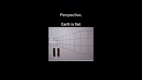 Perspective
