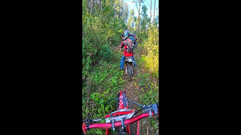 riding a motorcycle with friends, forests of Brazil