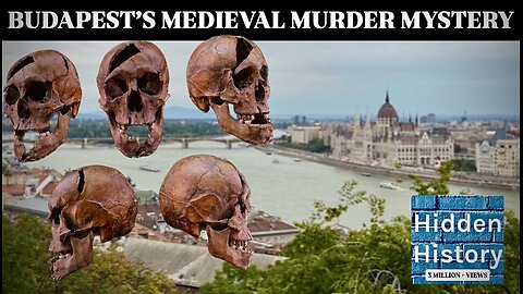 700-year-old murder mystery of Hungarian noble solved by forensic DNA study of Budapest bones