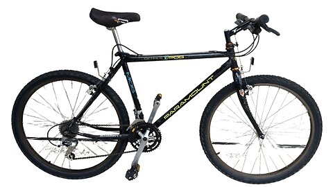 Bicycle Schwinn Paramount 1992 Tune Up & Parts Installed - Bosque Mobile Bicycle Repair - Denver, CO