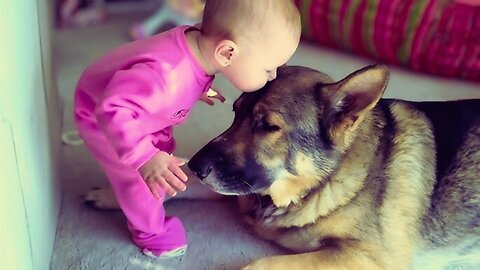 Cute & Funny Babies Playing with Dogs 🐶😂