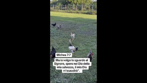 Italiano #Bibia #Gesu #Cristo