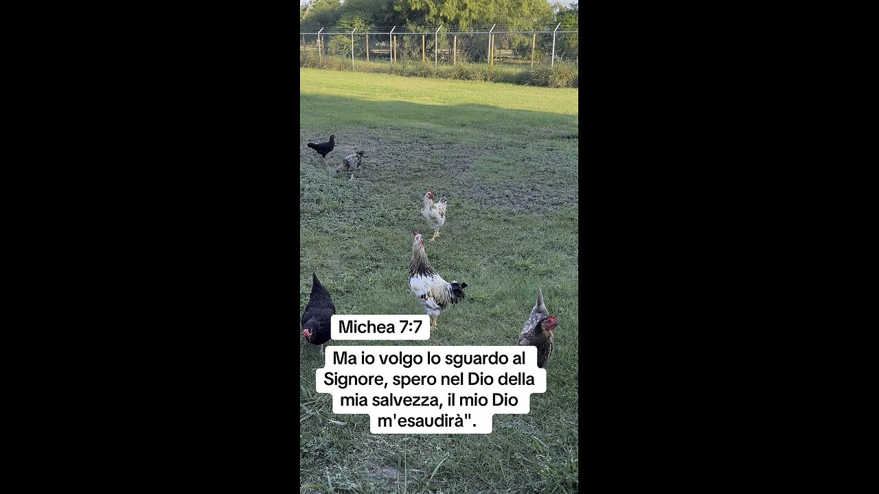Italiano #Bibia #Gesu #Cristo