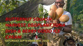 Butternut Squash Harvest, Eggplant Tuna Dish & Berry Good Ice Cream
