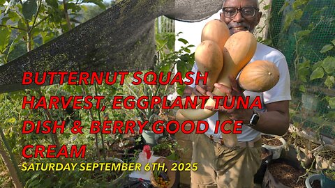 Butternut Squash Harvest, Eggplant Tuna Dish & Berry Good Ice Cream