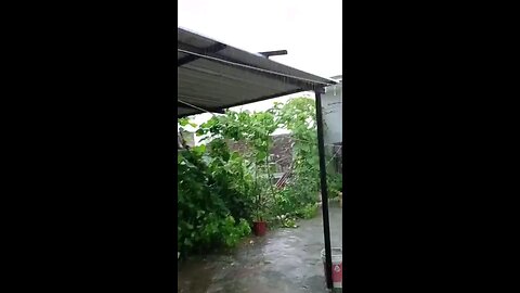 satisfying Video